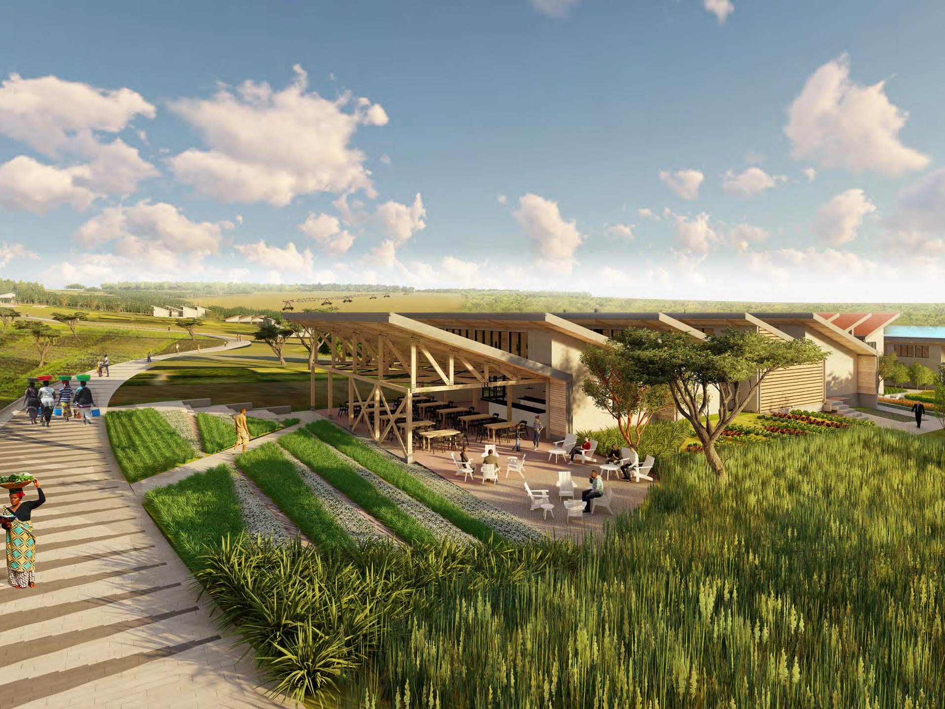 Rwanda Institute for Conservation Agriculture RICA