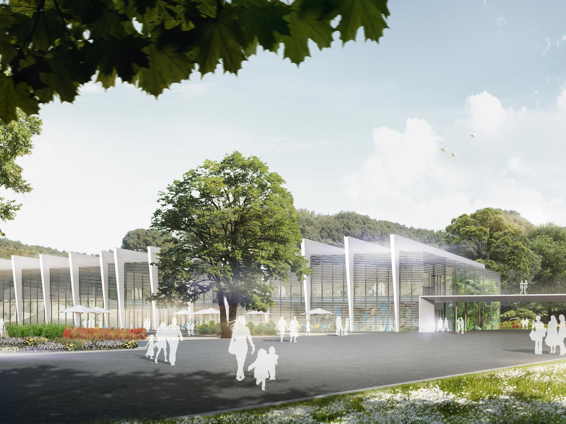 Danakil World of Climates